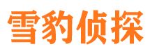 江山市婚姻调查